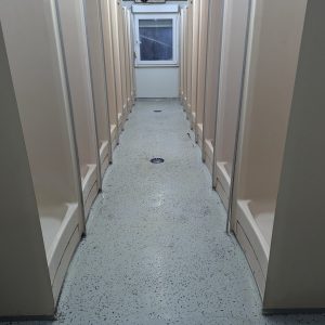 PXL_20250106_090822767-1